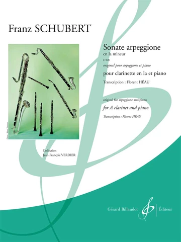 Sonate arpeggione en La mineur D821 Visual