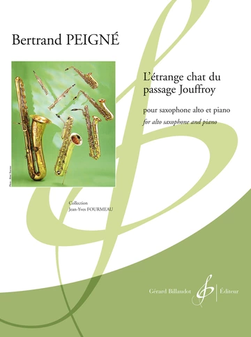 L&amp;#039;étrange chat du passage jouffroy Visuel