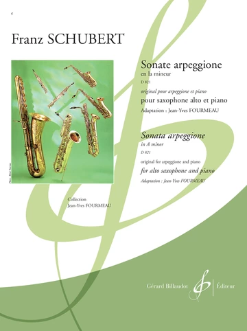 Sonate arpeggione en La mineur D821 Visuel