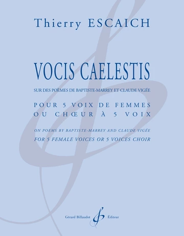 Vocis Caelestis Visual