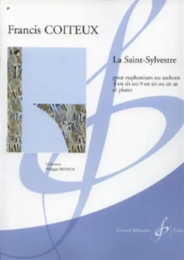 La saint sylvestre Visuel
