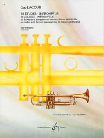 28 études sur les modes à transpositions limitées d&amp;#039;O. Messiaen Visual