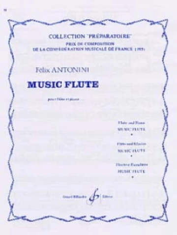 Music flute Visual