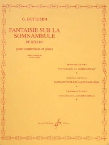 Fantaisie sur la somnambule Visual